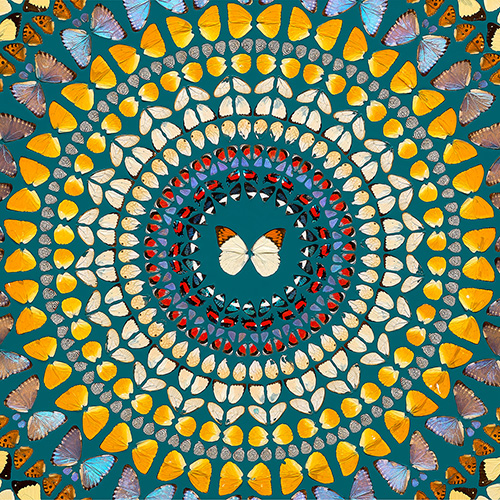 hirst-butterfly.jpg