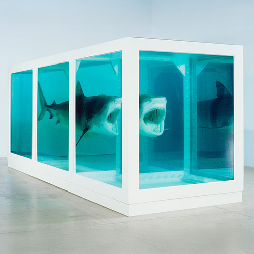 hirst-shark.jpg